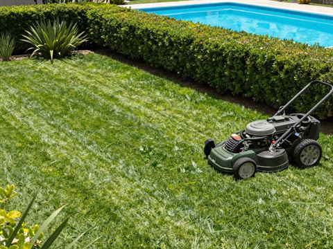 Jardín con pasto recién cortado, cerco vivo y piscina